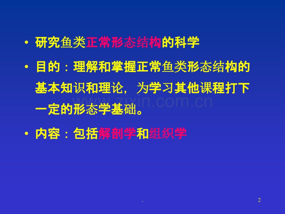 鱼类的比较组织解剖.ppt_第2页