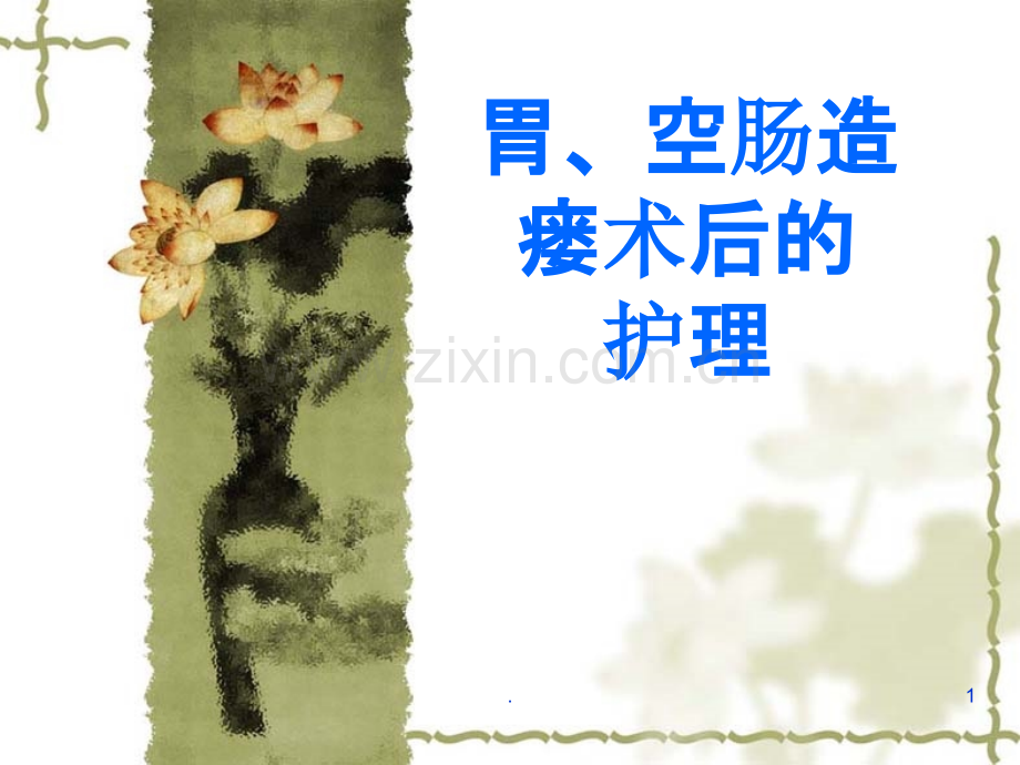 胃空肠造瘘术后的护理.ppt_第1页