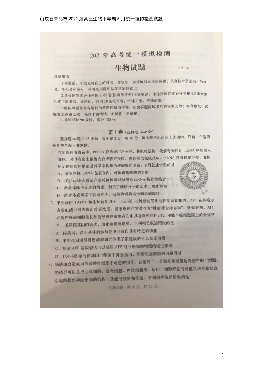 山东省青岛市2021届高三生物下学期5月统一模拟检测试题.doc_第2页