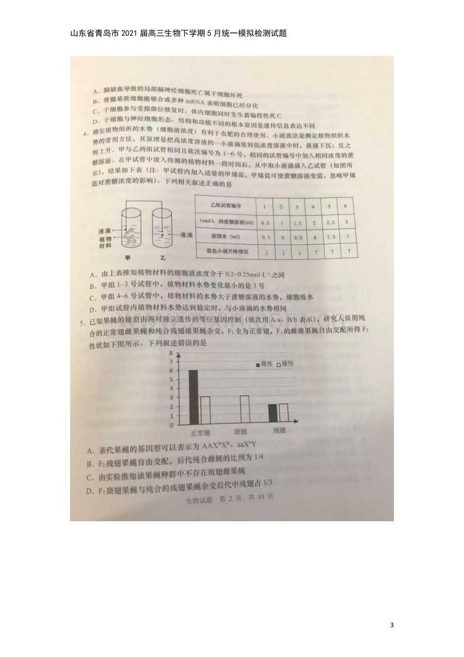 山东省青岛市2021届高三生物下学期5月统一模拟检测试题.doc_第3页