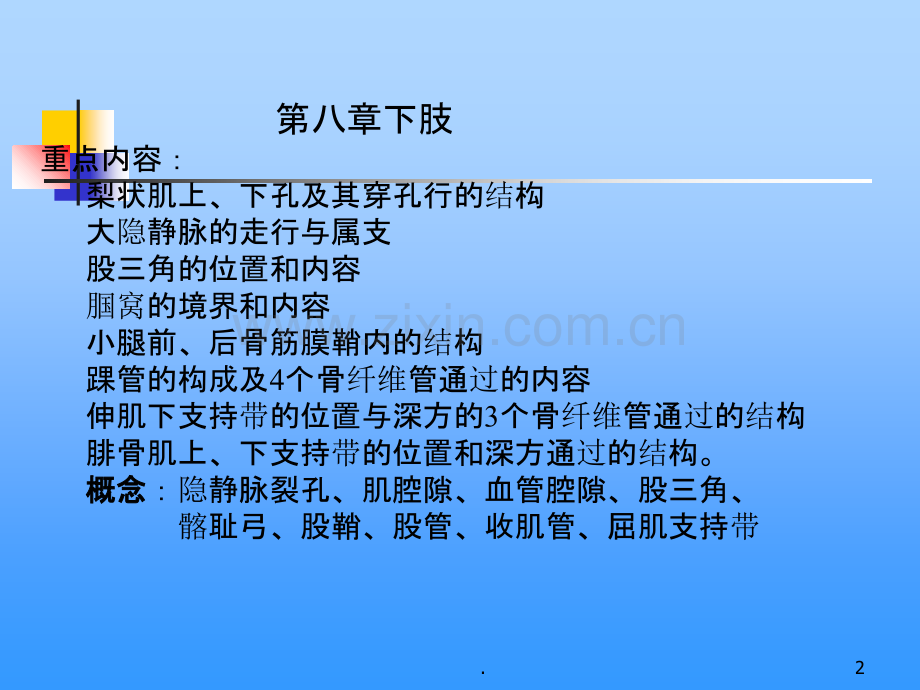 下肢-局部解剖.ppt_第2页