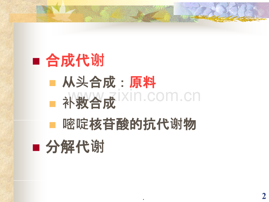 嘧啶核苷酸代谢.ppt_第2页