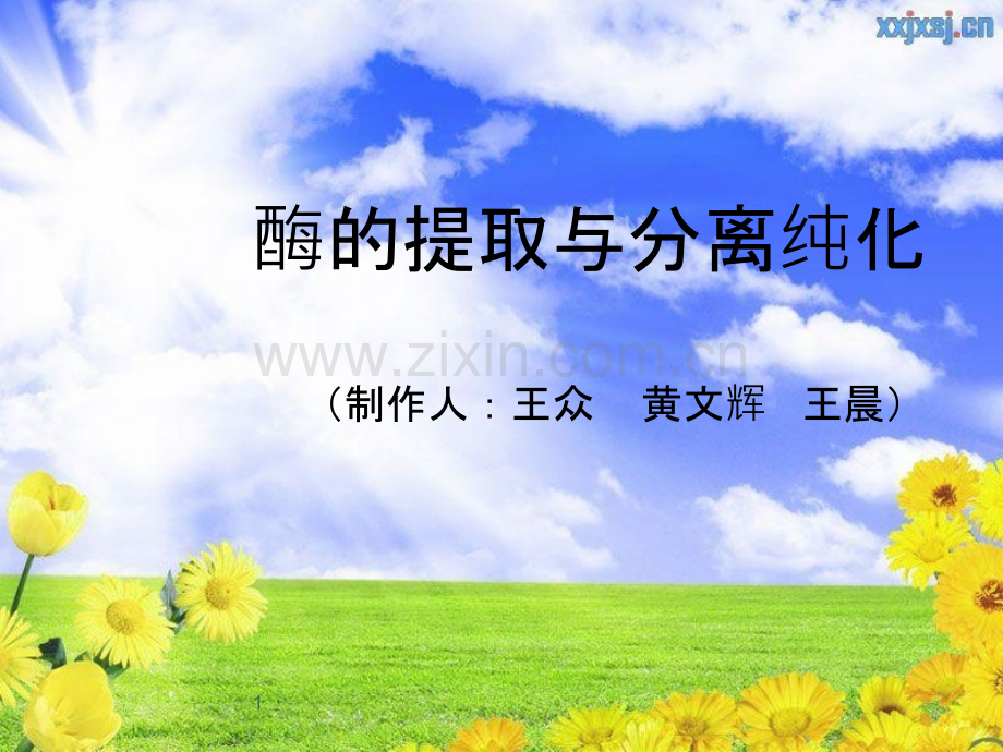 酶的提取与分离纯化ppt课件.ppt_第1页