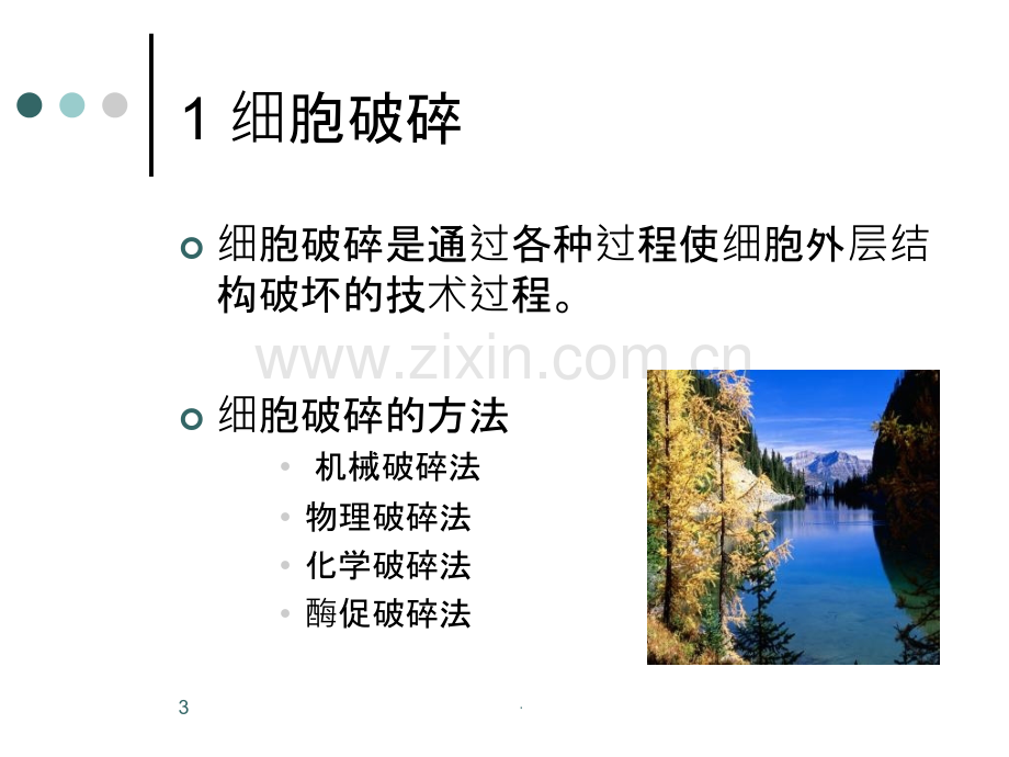 酶的提取与分离纯化ppt课件.ppt_第3页