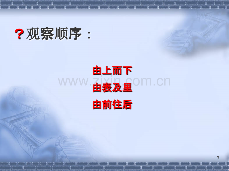 鲫鱼的解剖.ppt_第3页