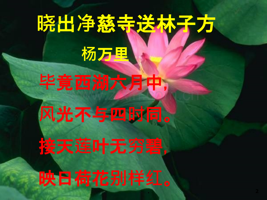 《荷塘月色》(用)剖析.ppt_第2页