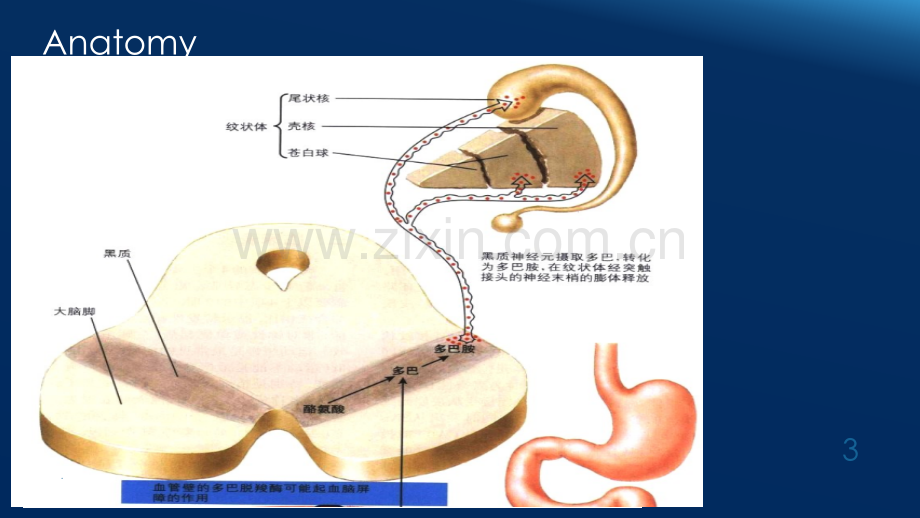 PD全程管理.ppt_第3页