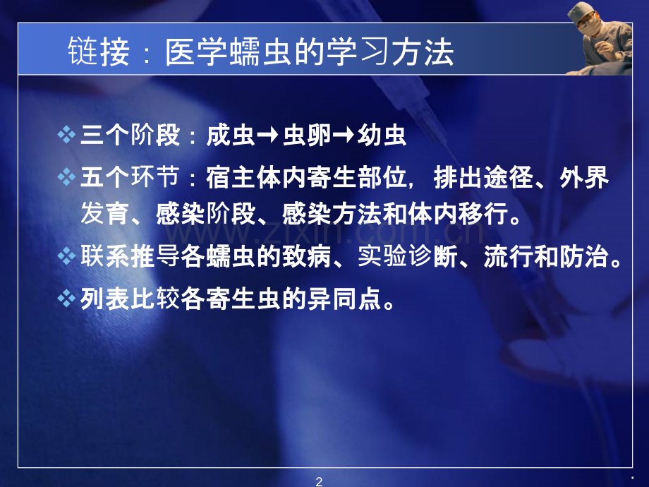 医学蠕虫线虫ppt课件.ppt_第2页