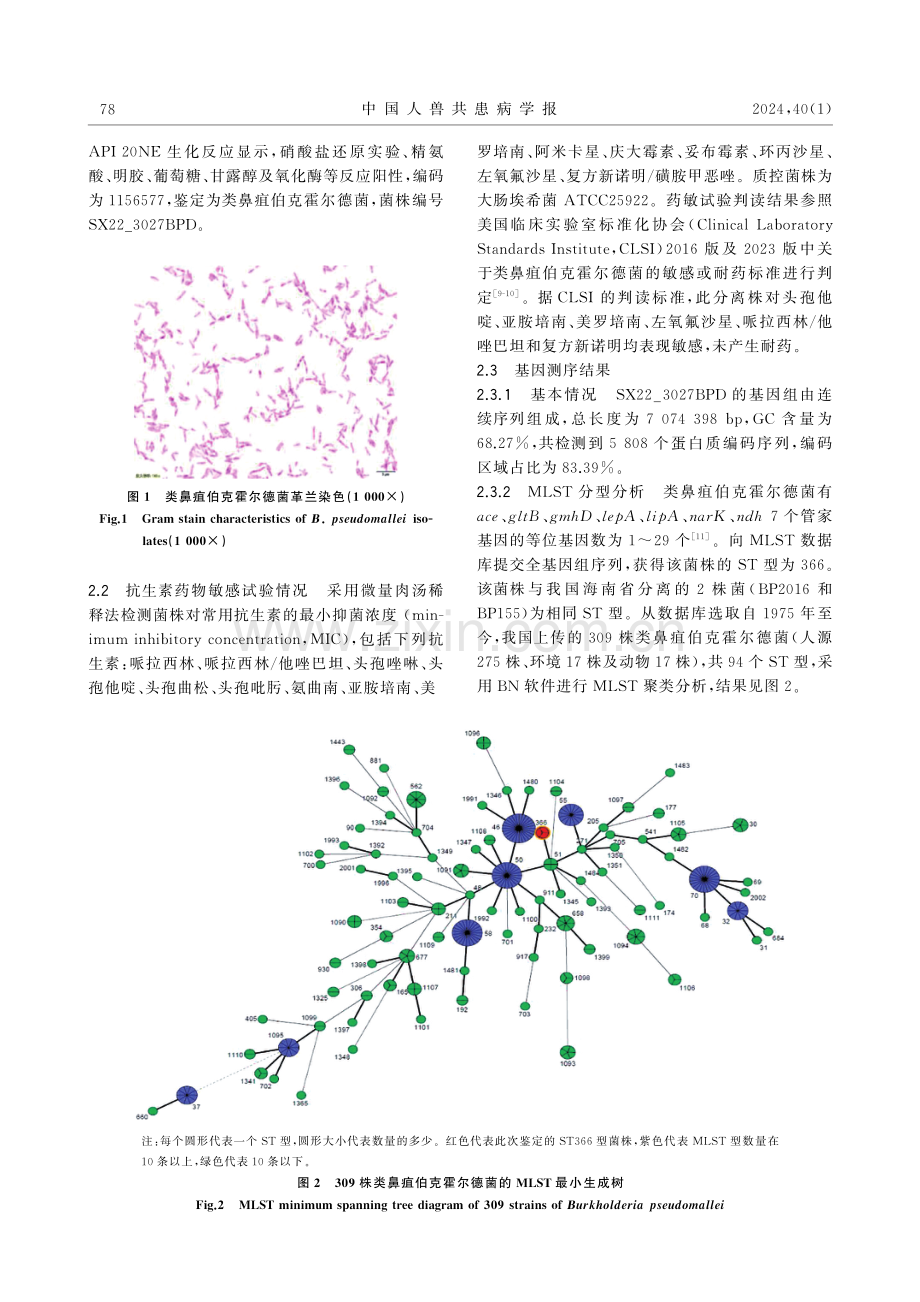 1例输入性类鼻疽的病原学诊断及溯源分析.pdf_第3页