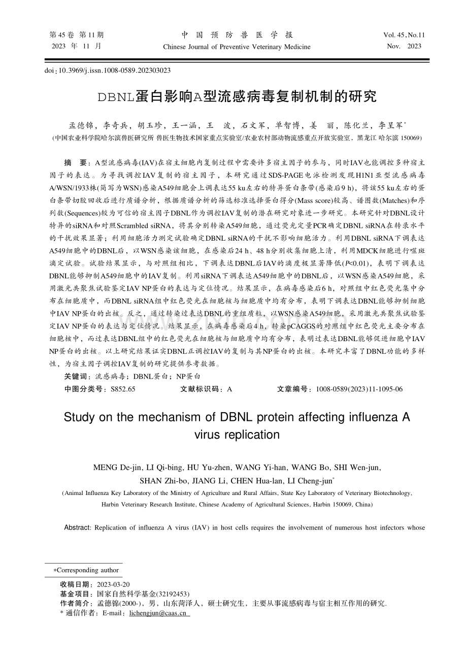 DBNL蛋白影响A型流感病毒复制机制的研究.pdf_第1页