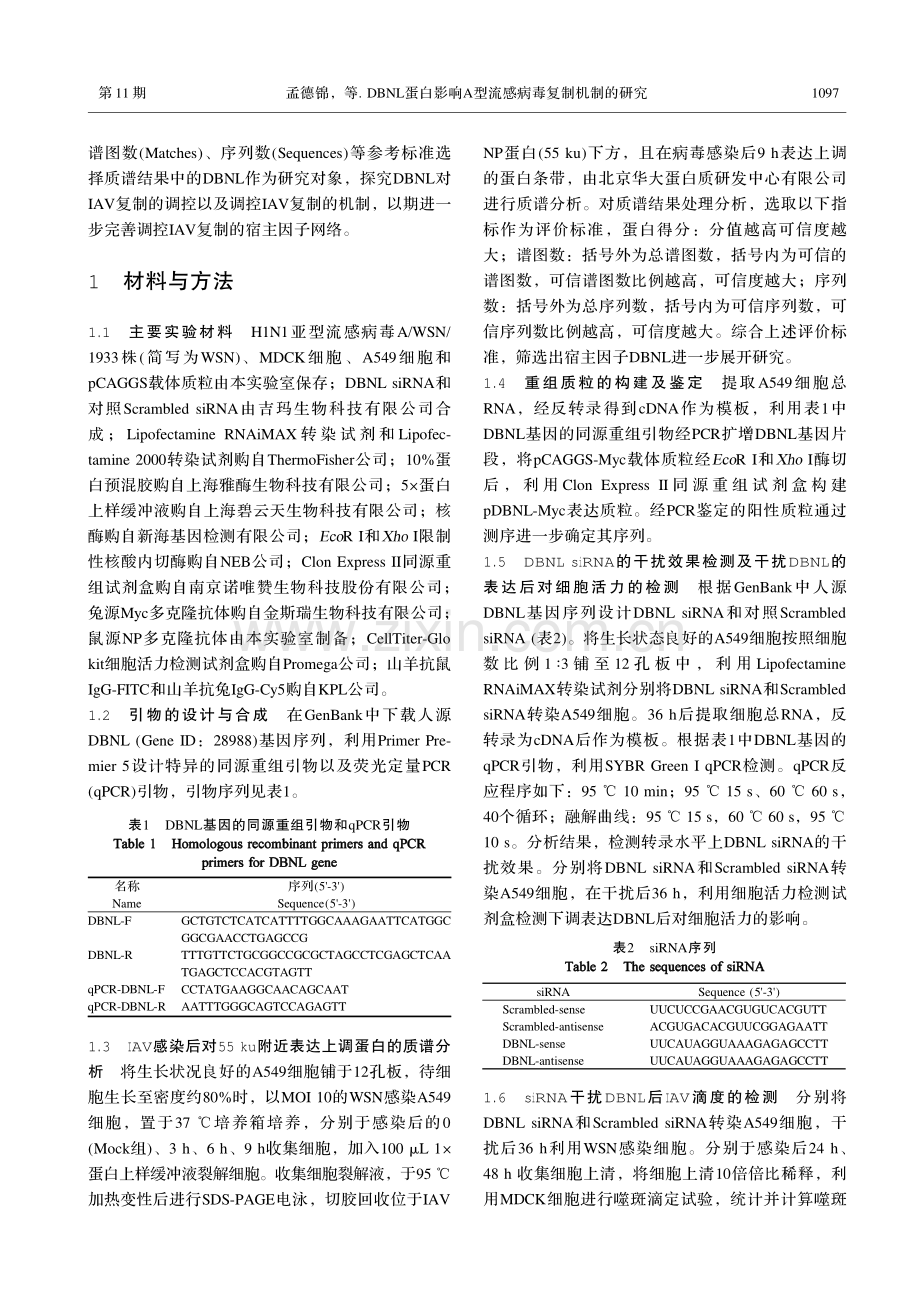 DBNL蛋白影响A型流感病毒复制机制的研究.pdf_第3页