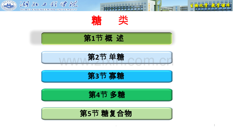 湖工生物化学--糖类.ppt_第1页