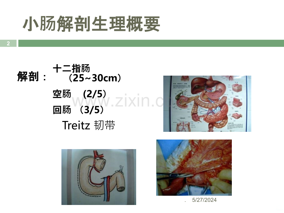 小肠疾病协和结直肠-文档资料.ppt_第2页