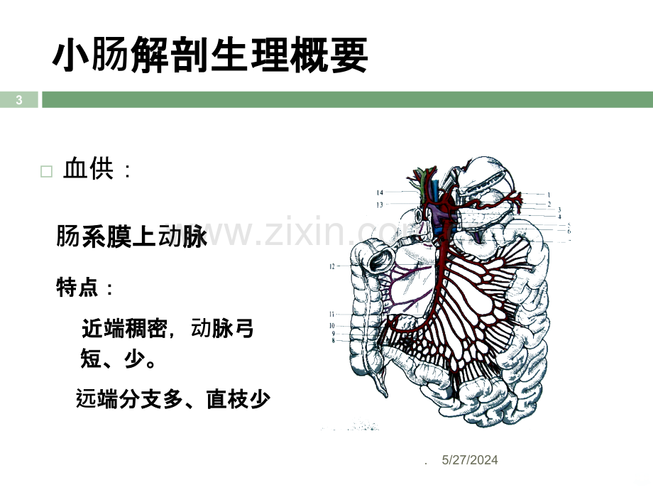 小肠疾病协和结直肠-文档资料.ppt_第3页