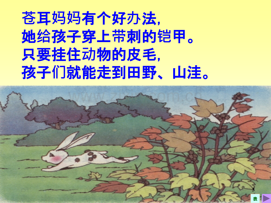 植物妈妈有办法课件.ppt_第3页