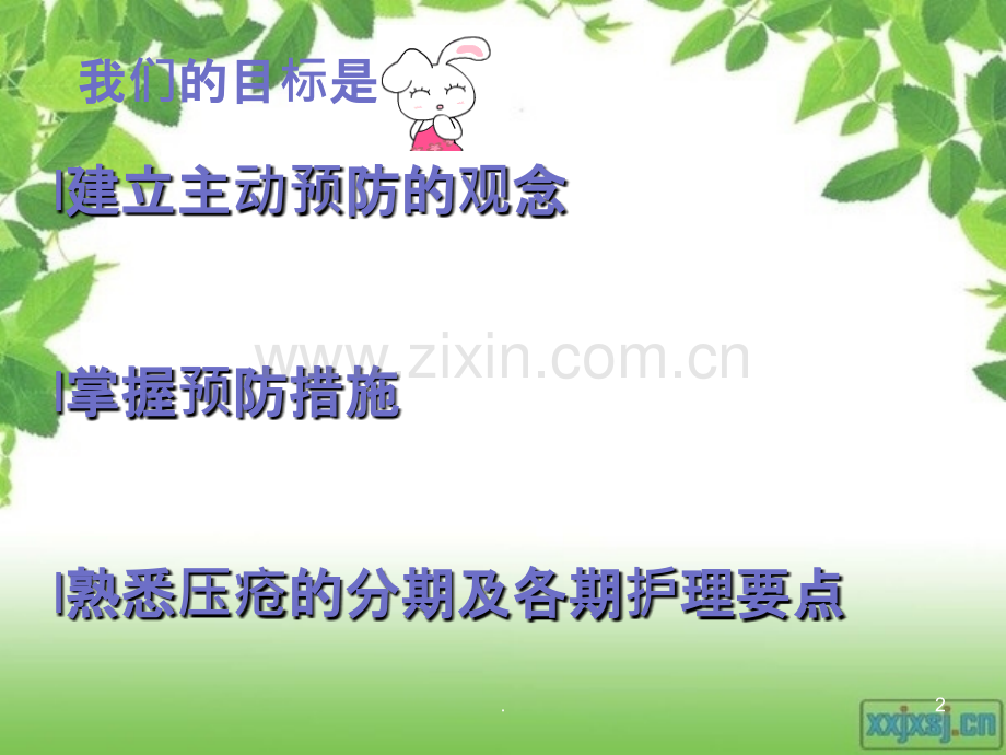 压疮的评估及护理ppt课件.ppt_第2页