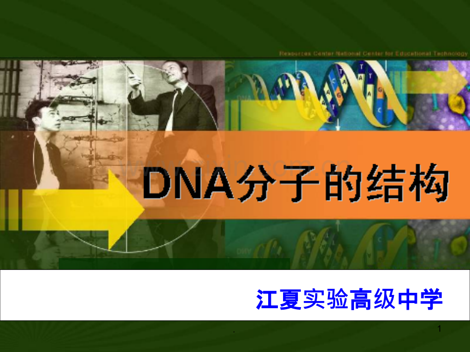 DNA的分子机构.ppt_第1页