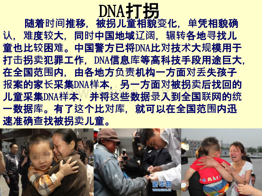 DNA的分子机构.ppt_第2页