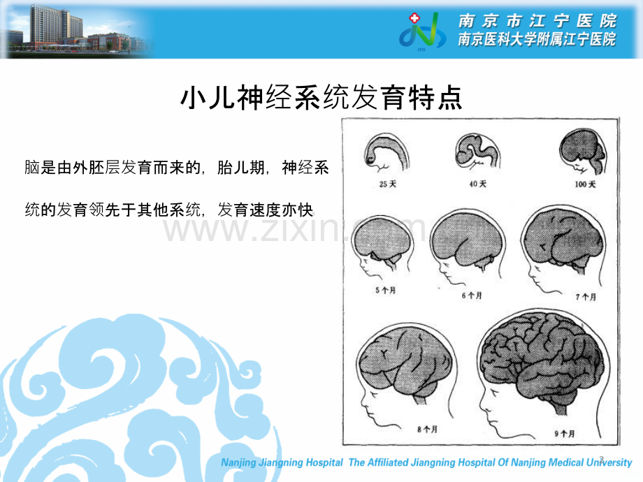 热性惊厥小讲座.ppt_第2页