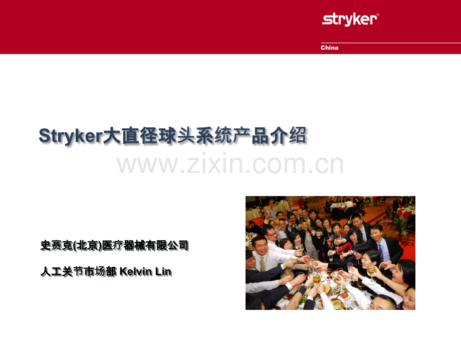 Stryker大直径球头系统产品介绍.ppt_第1页