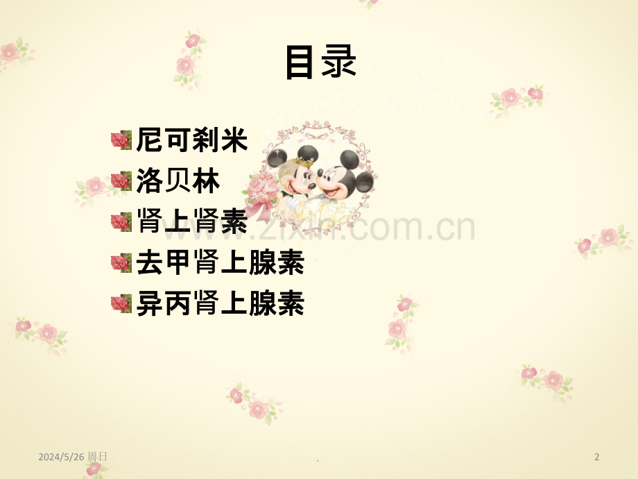 ICU抢救药物的相关知识.ppt_第2页