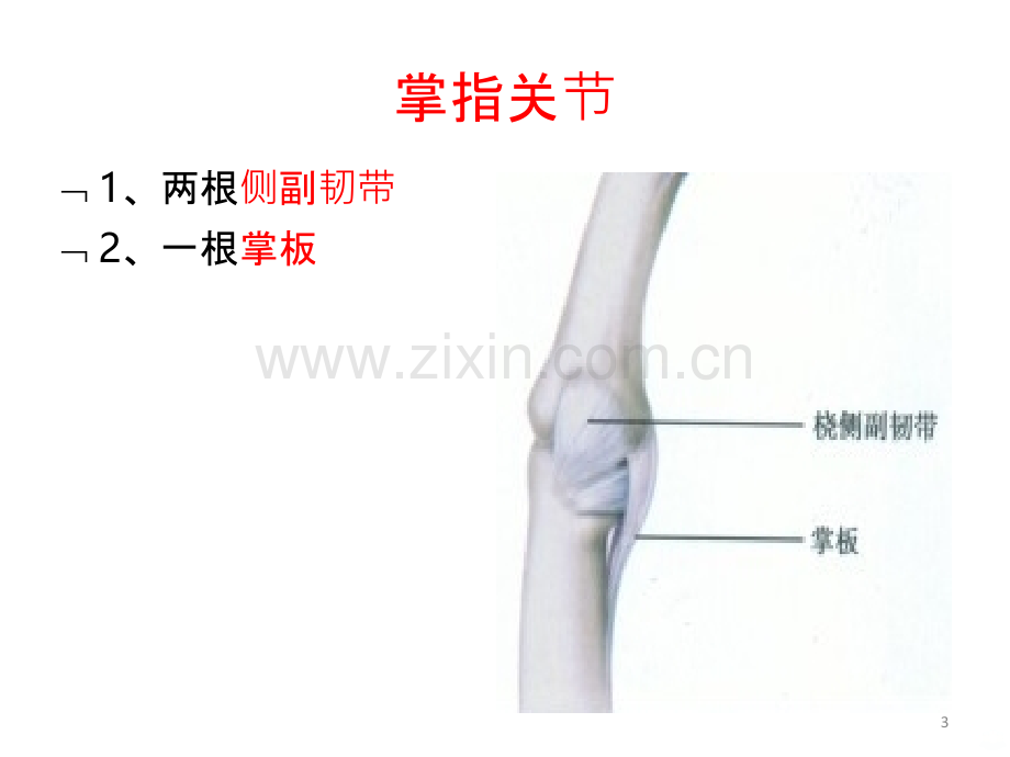 手指肌腱MR.ppt_第3页