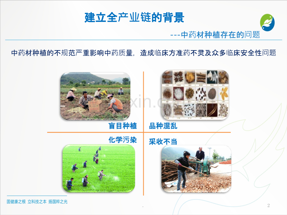 中药配方颗粒--全产业链.ppt_第2页