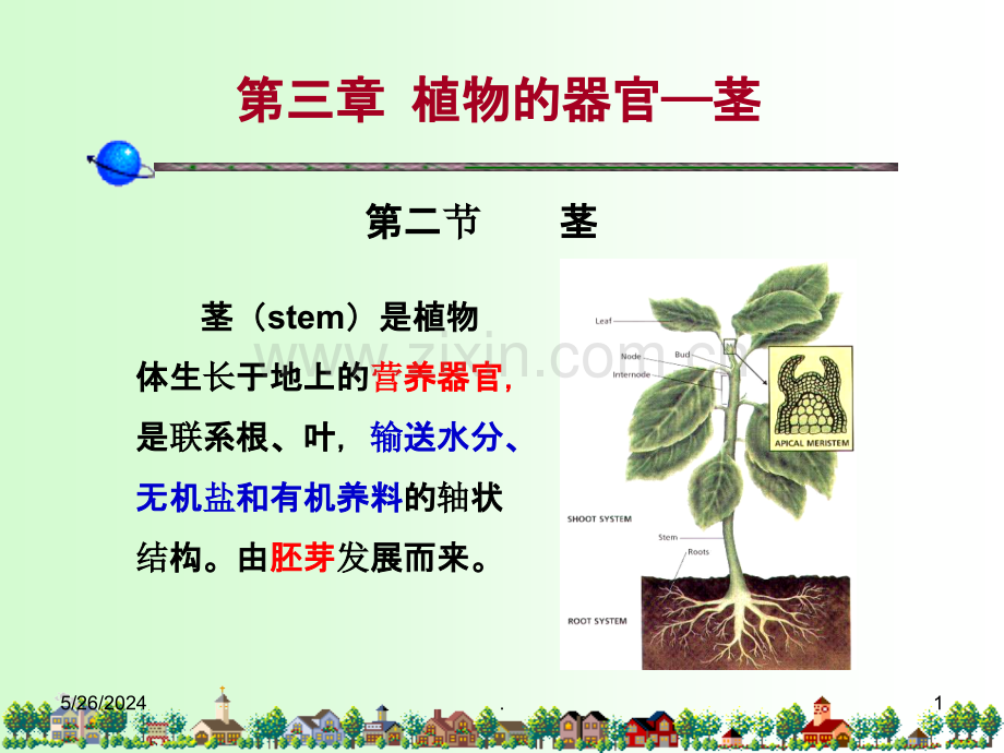 第三章-植物的器官——茎.ppt_第1页