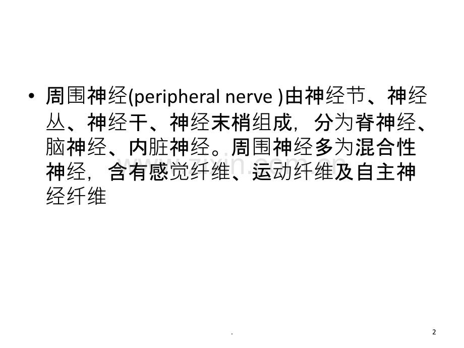 周围神经康复.ppt_第2页