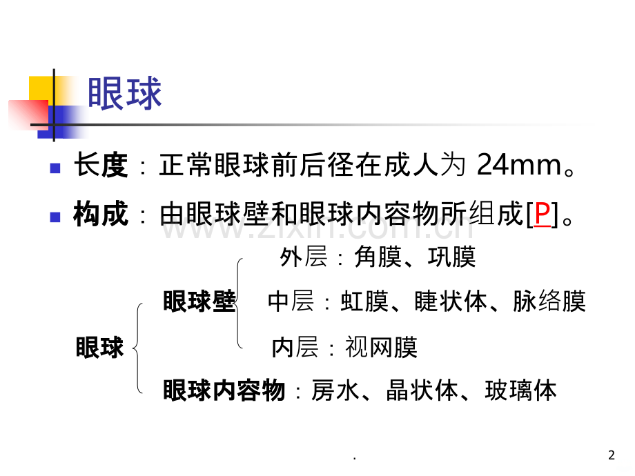 眼的组织解剖与生理.ppt_第2页