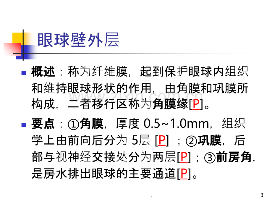 眼的组织解剖与生理.ppt_第3页