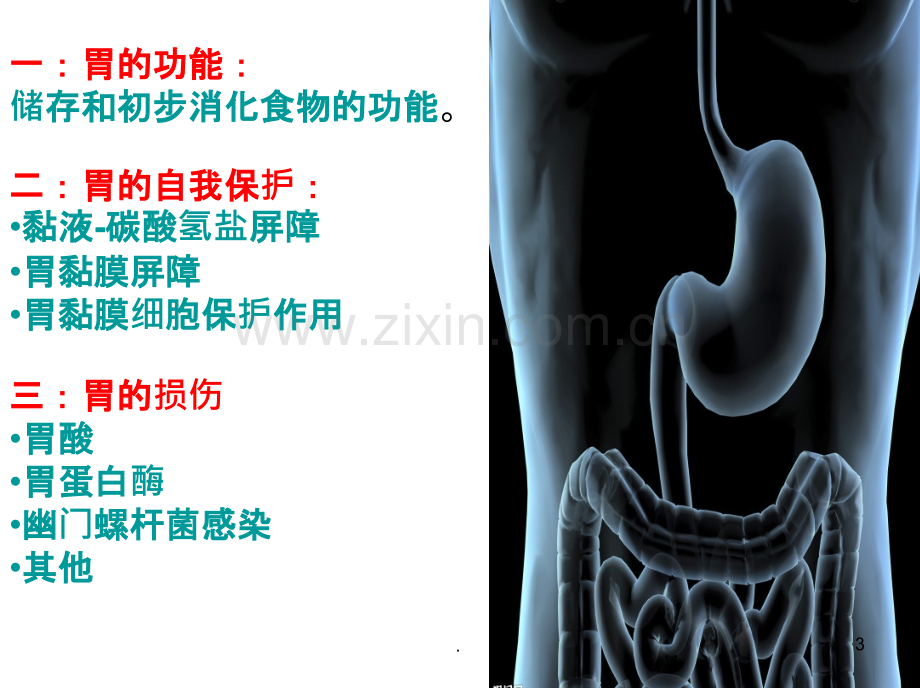 从胃的损伤与保护谈溃疡的形成与治疗.ppt_第3页