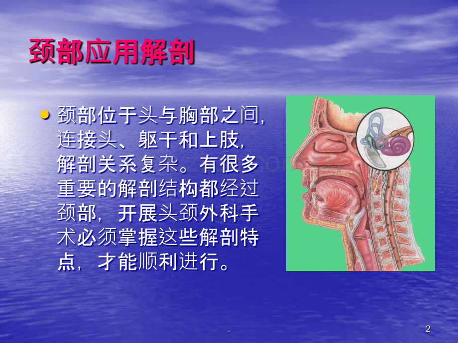 颈部肿块的临床意义ppt课件.ppt_第2页