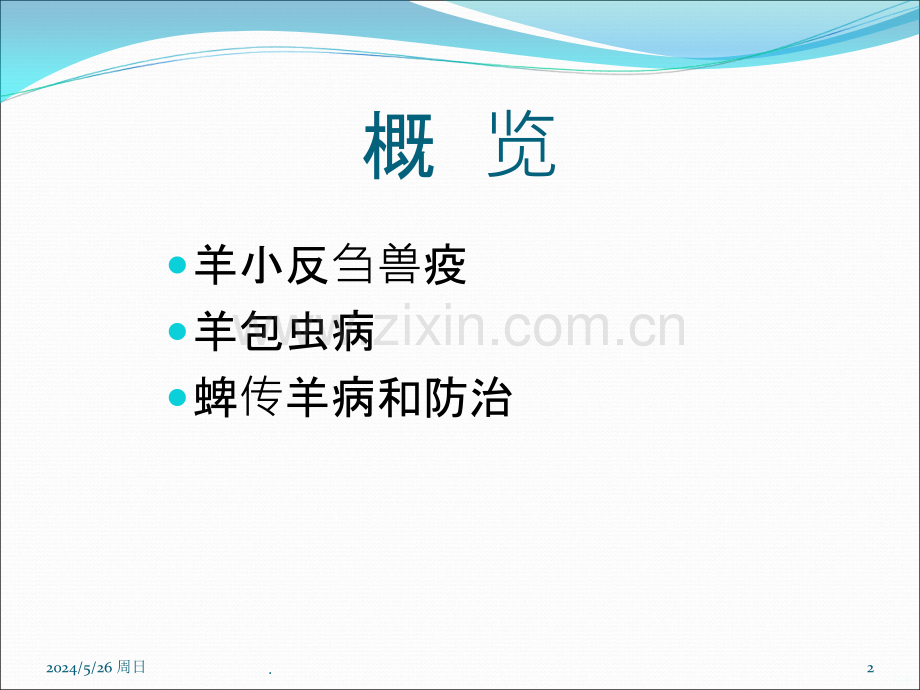 羊病诊断与防治介绍.ppt_第2页