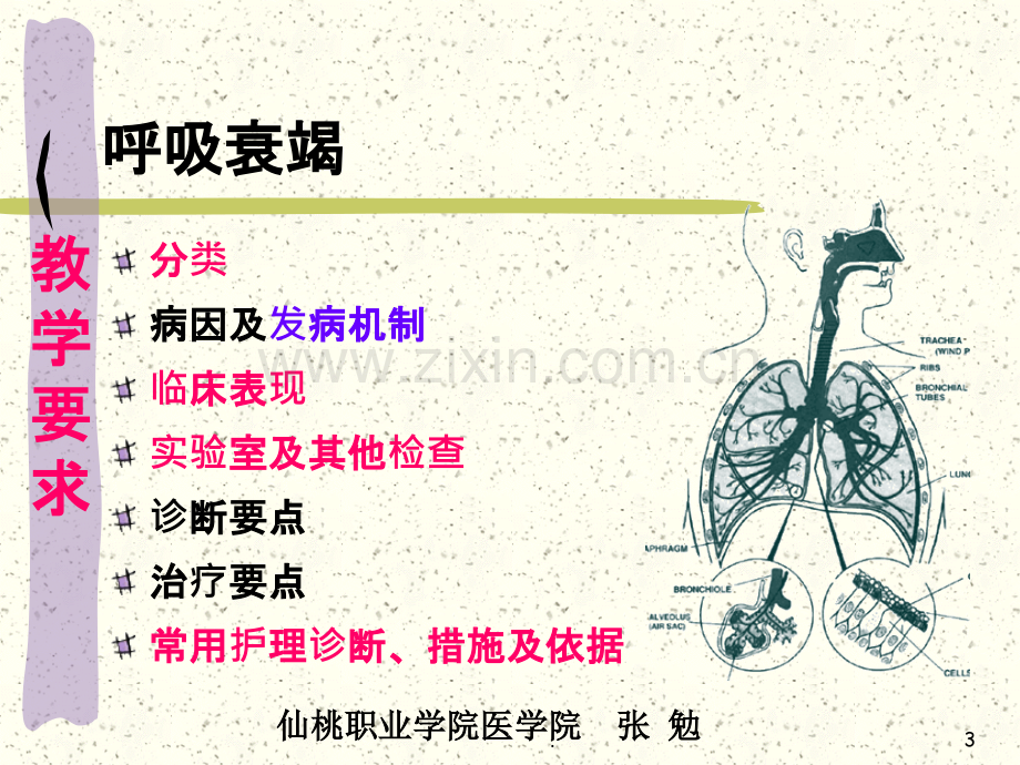 呼吸衰竭病人的护理改后.ppt_第3页