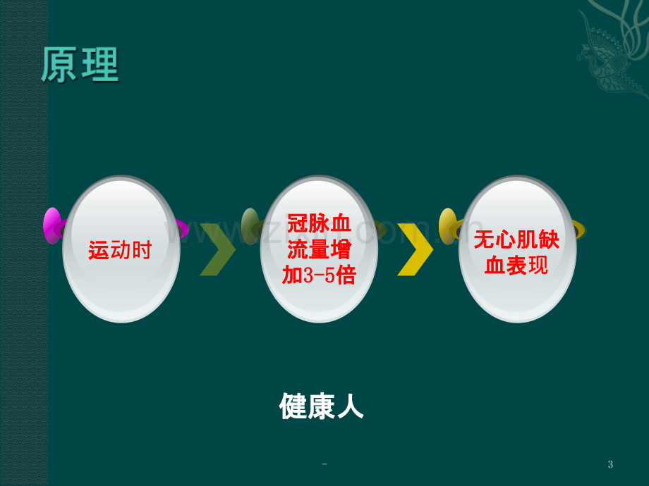 平板运动试验.ppt_第3页