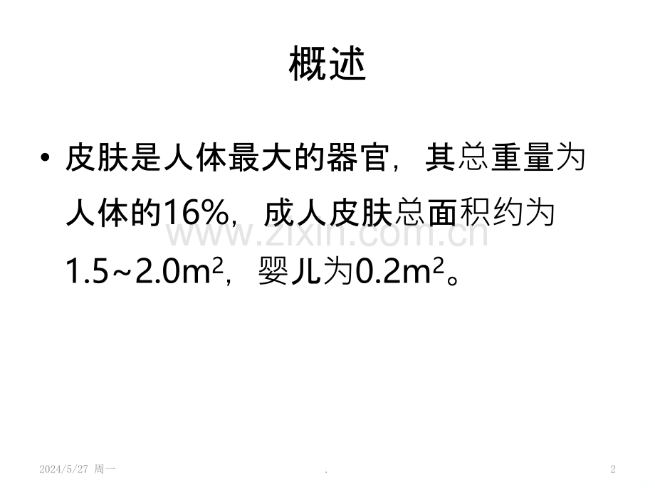 表皮的基本结构及细胞构成.ppt_第2页