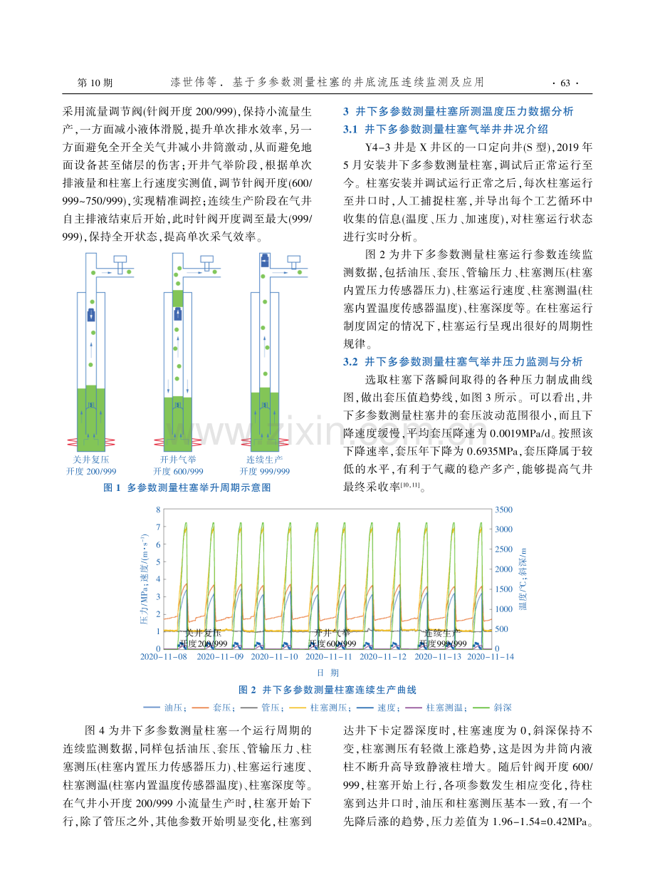 基于多参数测量柱塞的井底流压连续监测及应用.pdf_第2页