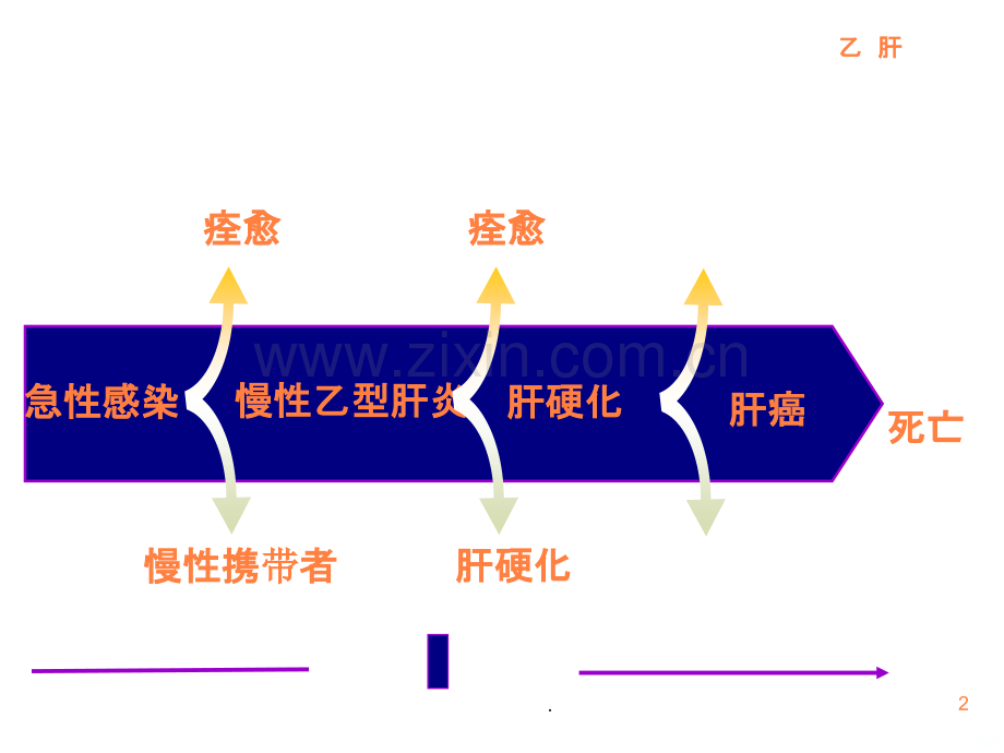 病毒感染性疾病-肝炎ppt课件.ppt_第2页