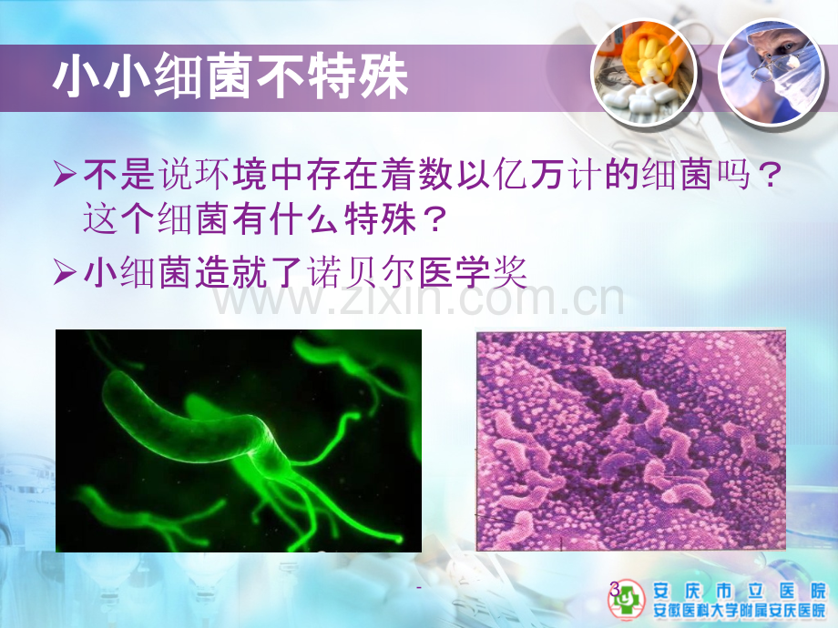 幽门螺旋杆菌科普.ppt_第3页