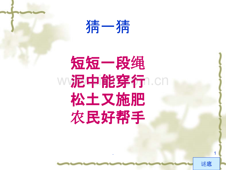 《蚯蚓》.ppt_第1页