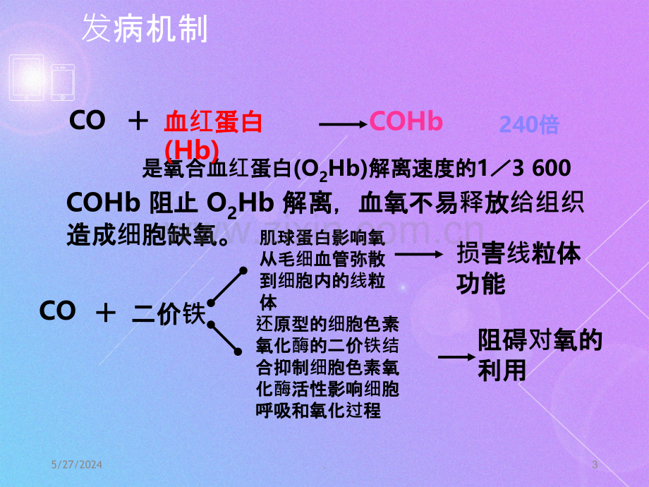 一氧化碳中毒及迟发脑病.ppt_第3页