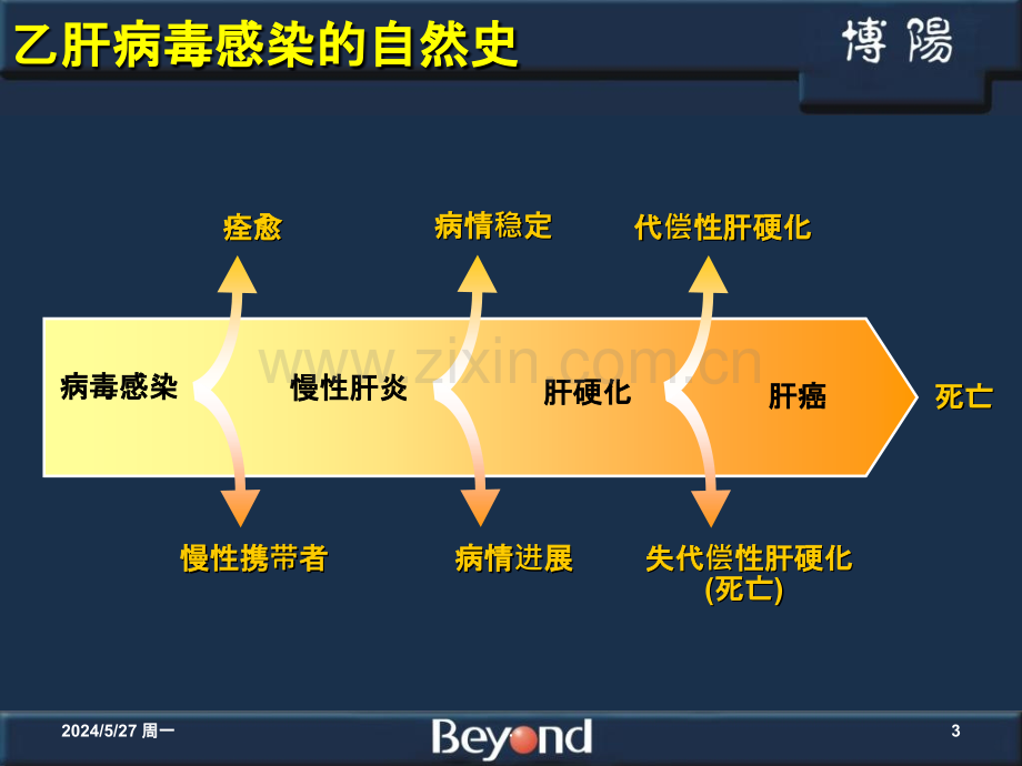 乙肝“两对半”定量检测的意义ppt课件.ppt_第3页