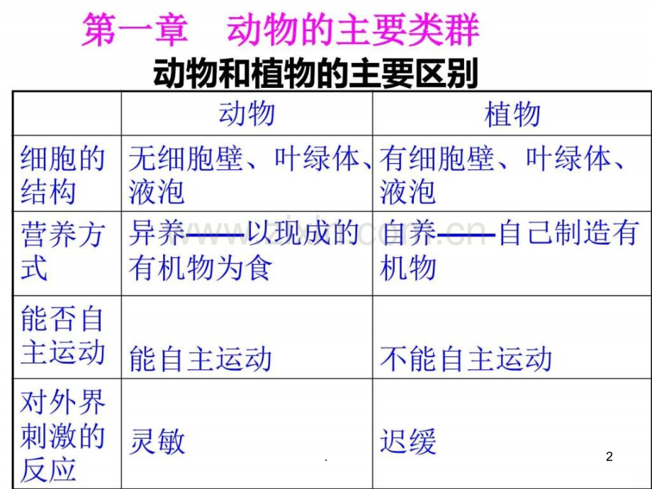 腔肠动物和扁形动物-ppt课件.ppt_第2页