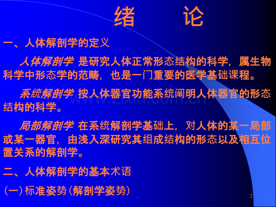 针灸针刀等解剖学基础ppt课件.ppt_第2页