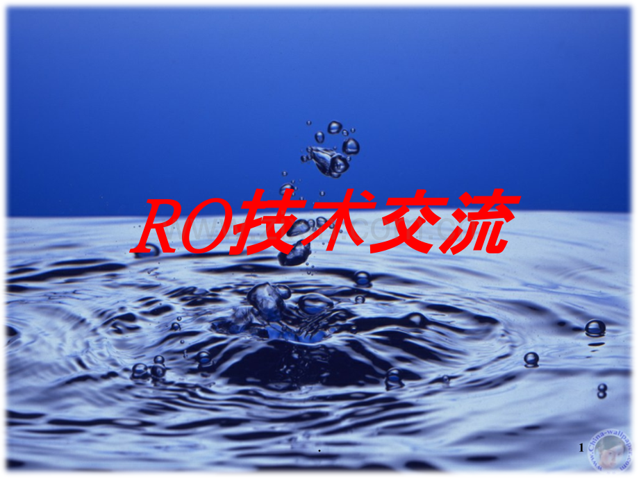 RO绯荤粺.ppt_第1页