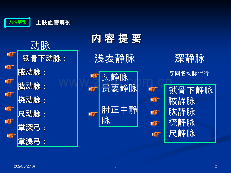 人体解剖上肢的血管.ppt_第2页