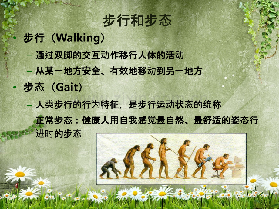 异常步态.ppt_第2页