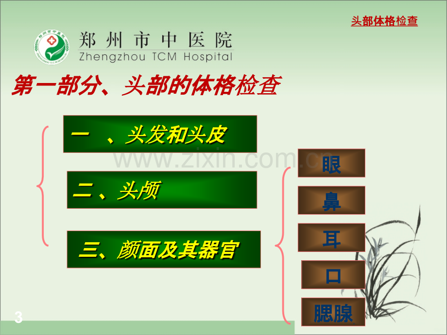 头颈部及四肢体格检查.ppt_第3页