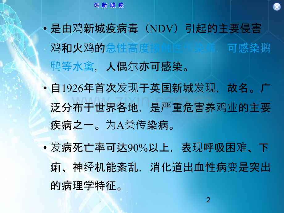 鸡新城疫ppt课件.ppt_第2页